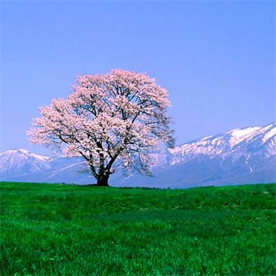 慕尼黑上海电子展热点追踪：跨越...